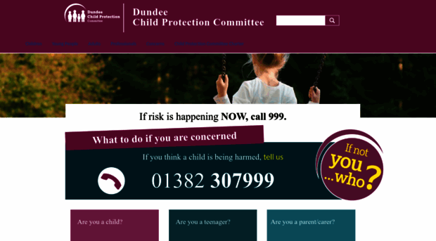 dundeeprotectschildren.co.uk