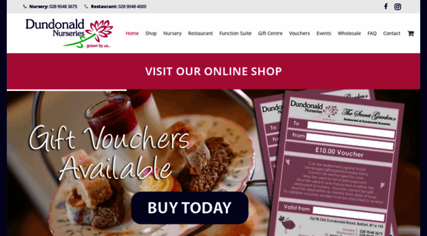 dundonaldnurseries.co.uk