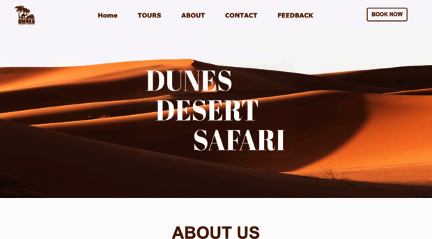 dunesdesertsafari.com