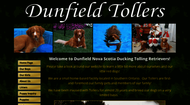 dunfieldtollers.com