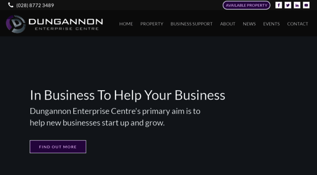 dungannonenterprise.com