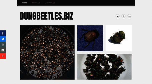 dungbeetles.biz