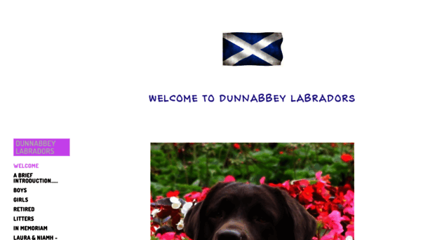 dunnabbeylabradors.com