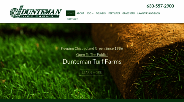 duntemanturf.com