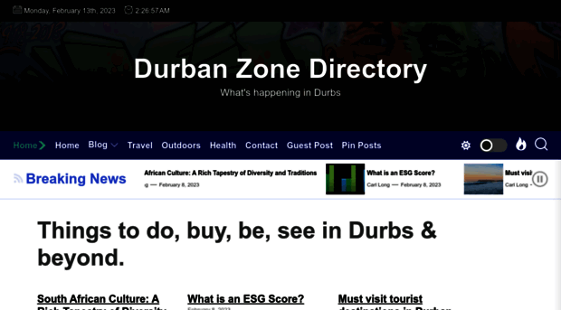 durbanzone.co.za