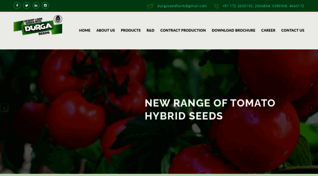 durgaseedfarm.com