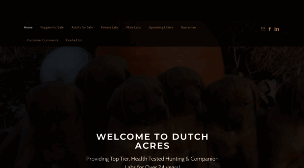 dutchacrespups.com