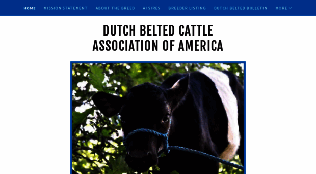 dutchbelted.com