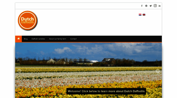 dutchdaffodils.com