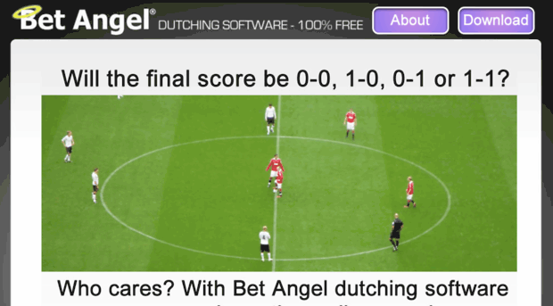 dutchingsoftware.com