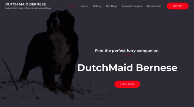 dutchmaidbernese.com