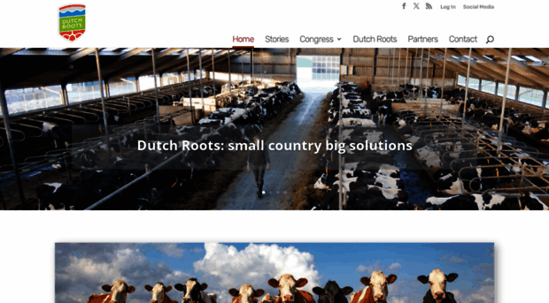 dutchroots.info