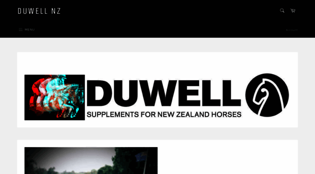 duwell.co.nz