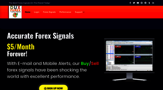 duxforex.com