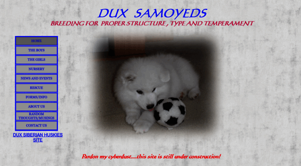 duxsamoyeds.com