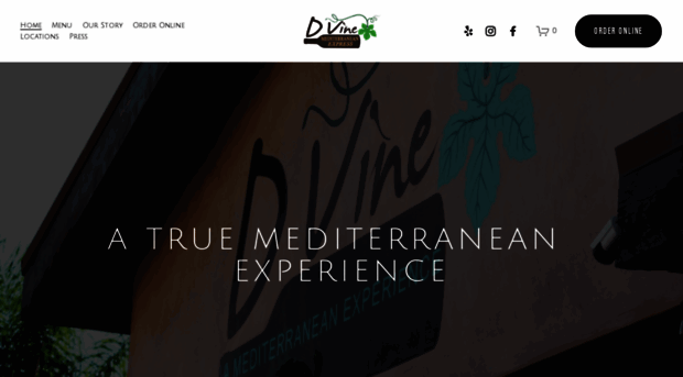 dvineexperience.com