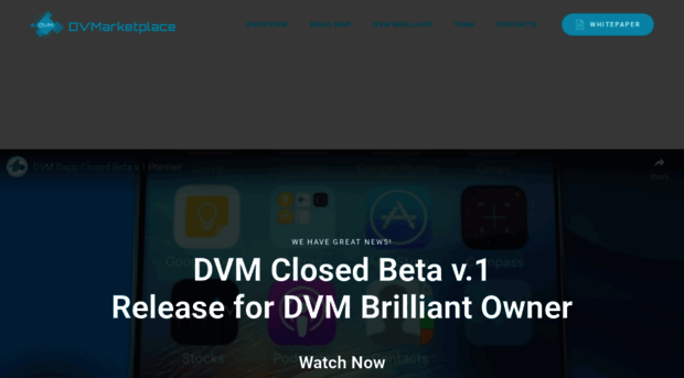dvm-market.com