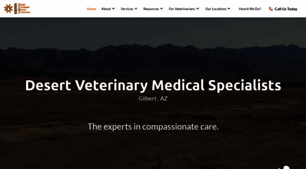 dvmspecialists.com