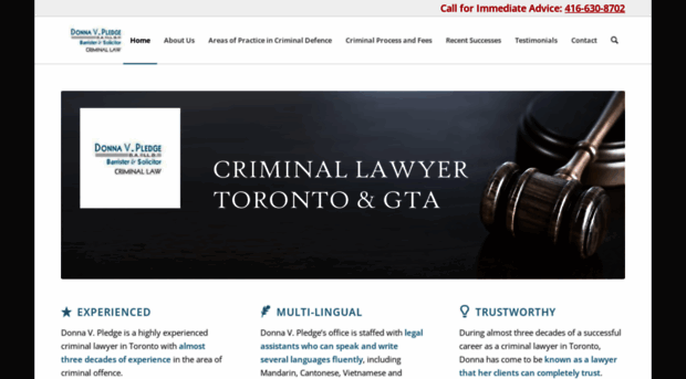 dvpledgecriminallawyer.ca