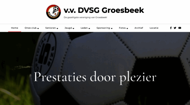 dvsg.nl