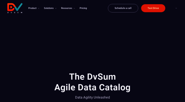 dvsum.com