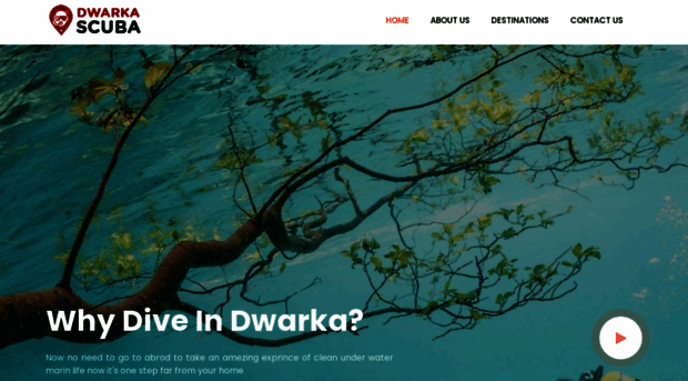 dwarkascuba.com