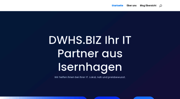 dwhs.biz