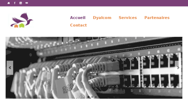 dyalcom.net