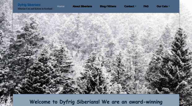 dyfrigsiberians.co.uk