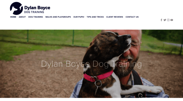 dylanboycedogtraining.com