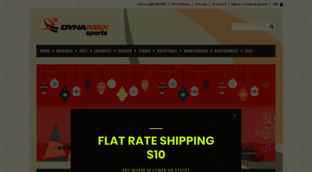 dynamaxsports.com