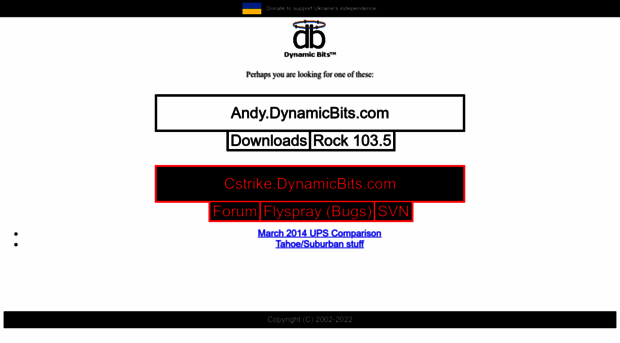 dynamicbits.com