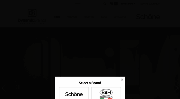 dynamicbrandsinternational.com