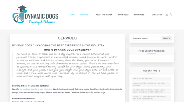 dynamicdogschicago.com