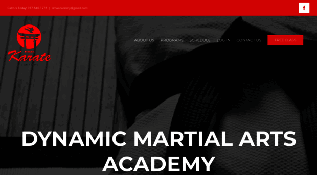 dynamicmartialartsacademy.com