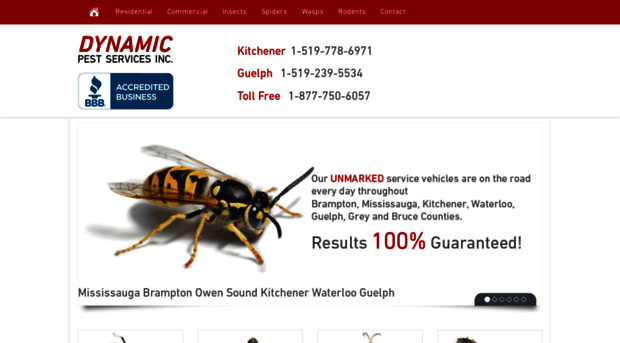 dynamicpest.ca