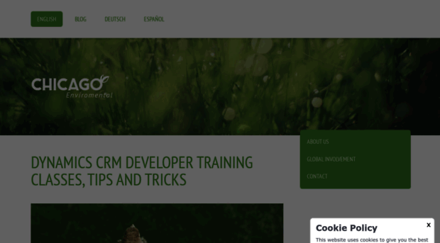 dynamicscrmdevelopertraining.jimdofree.com