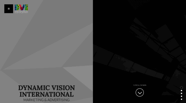 dynamicvisionint.com