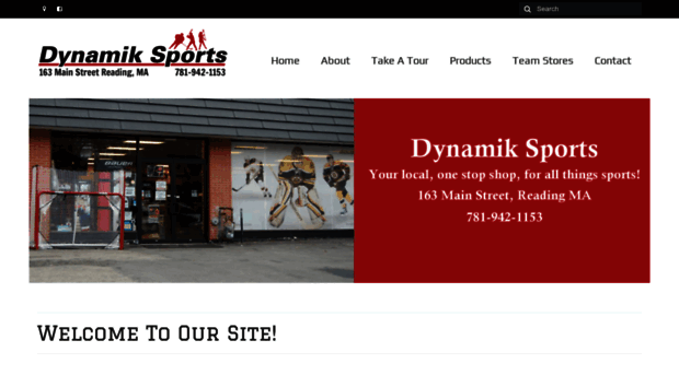 dynamiksports.com