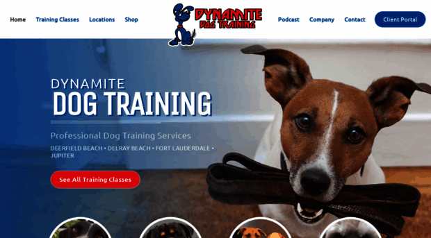 dynamitedogtraining.com