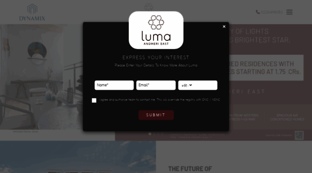 dynamixluma.co.in
