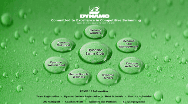 dynamoswimclub.com