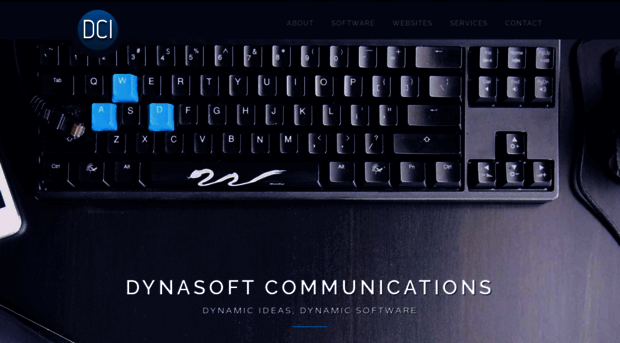 dynasoft2000.com