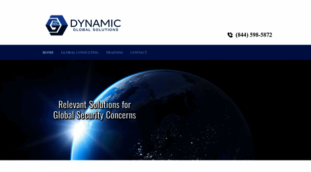 dyngloballlc.com