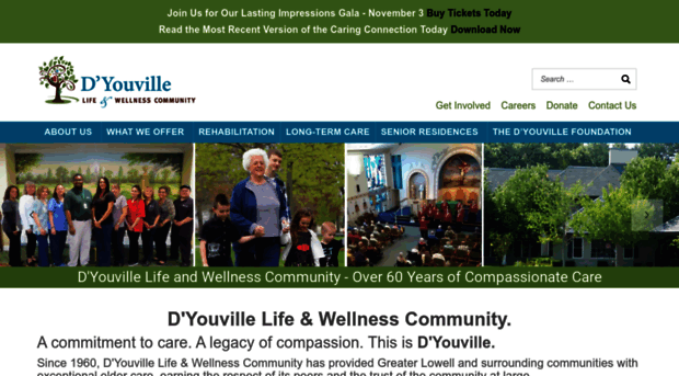 dyouville.org