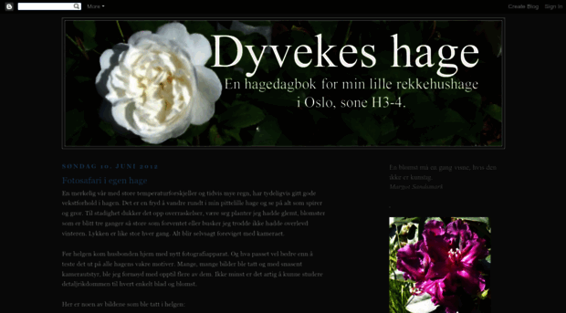 dyvekeshage.blogspot.com