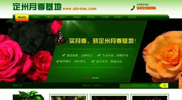 dz-rose.com