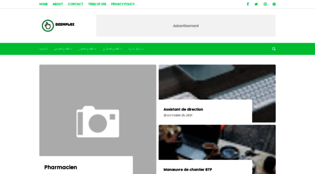 dzemploi.info