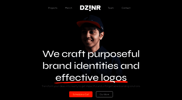 dzinr.co.in