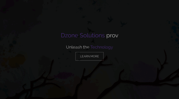 dzonesolutions.net